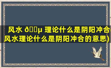风水 🐵 理论什么是阴阳冲合(风水理论什么是阴阳冲合的意思)